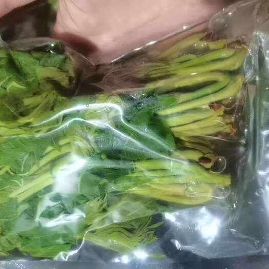 临朐县香椿咸菜