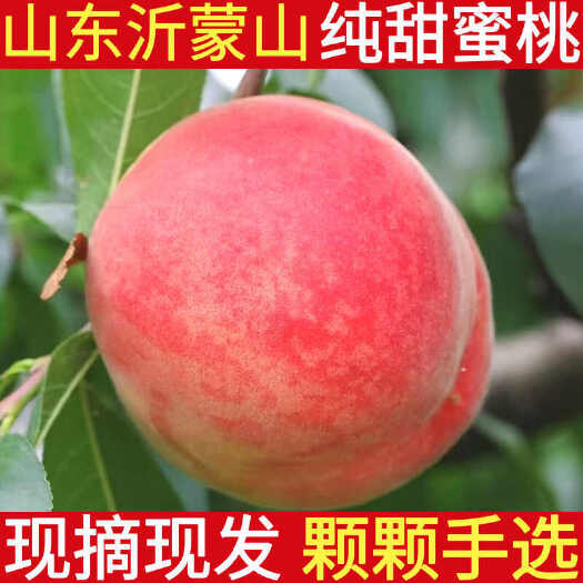 蒙阴县山东蒙阴沂蒙山蜜桃红毛桃新鲜水果大果蜜桃应季