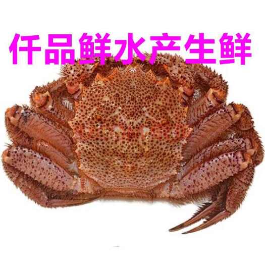 福州红毛蟹