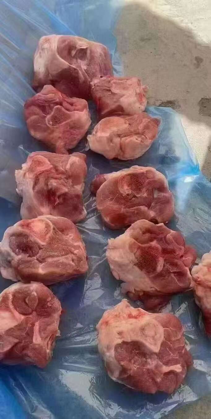 山东临沂兰山猪肘类优质禽畜肉蛋肉类批发