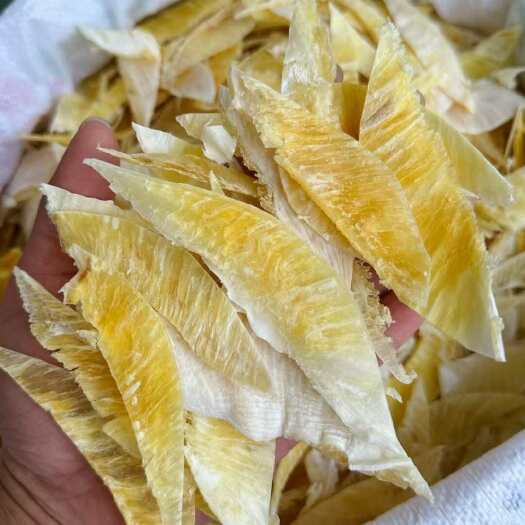 广州鱼翅边肉 水产渔翅边翅头肉鱼骨头 鱼翅骨翅骨一手货源
