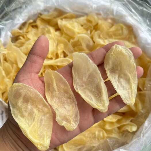 广州本港小白花胶发Q弹有韧性，炖煮方便，口感爽滑，胶质满满