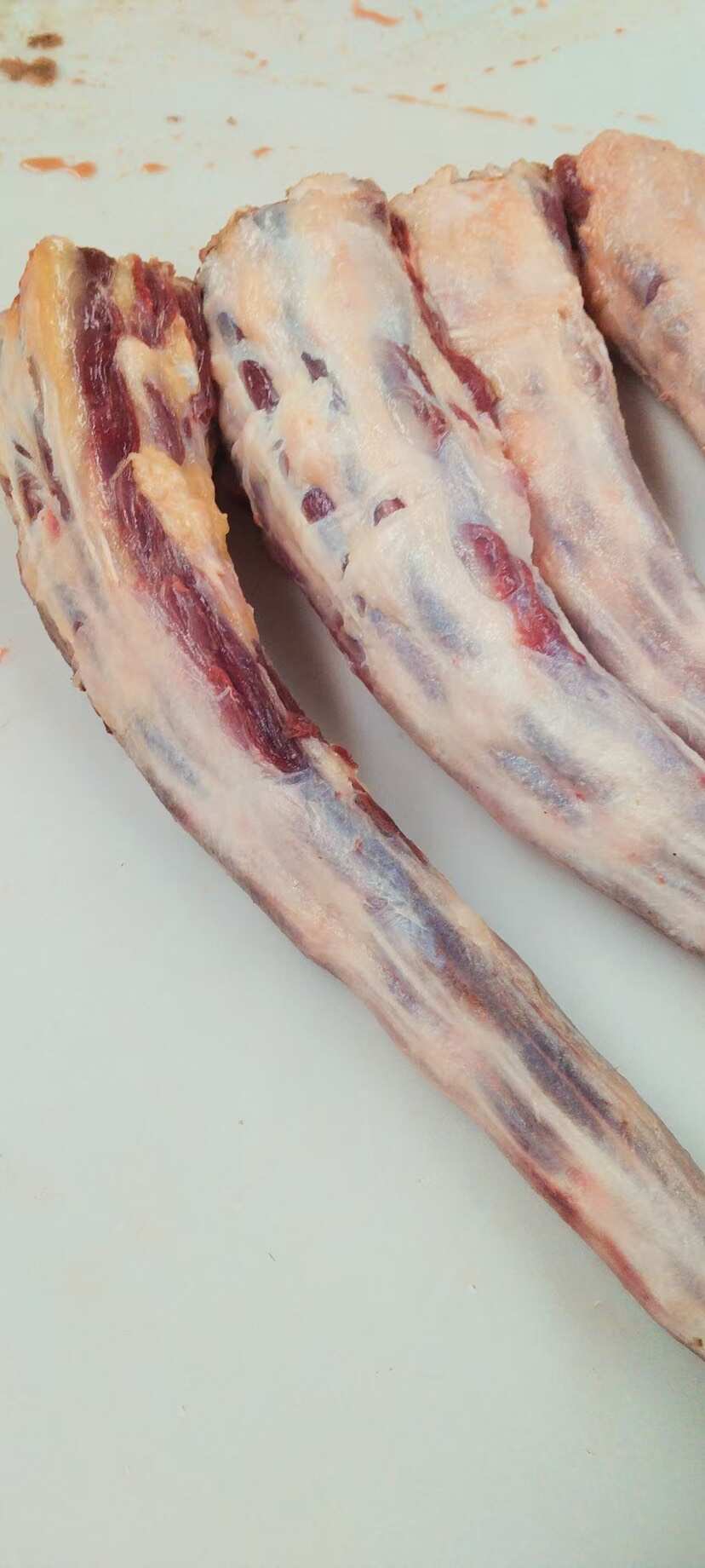 牛尾巴。 山东阳信牛尾 批发供应 多种运输方式