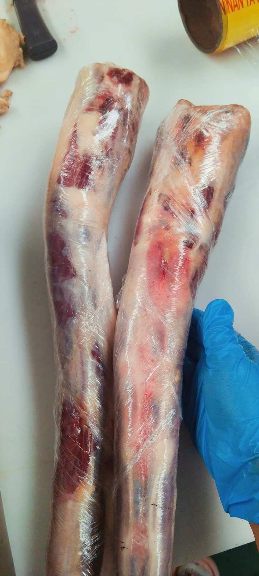 牛尾巴。 山东阳信牛尾 批发供应 多种运输方式