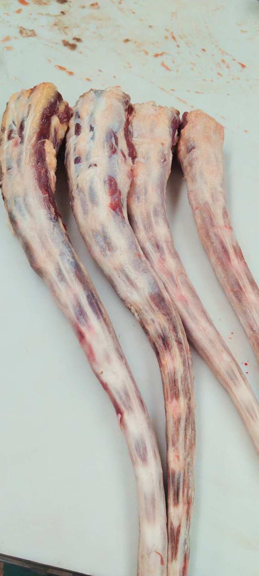 牛尾巴。 山东阳信牛尾 批发供应 多种运输方式