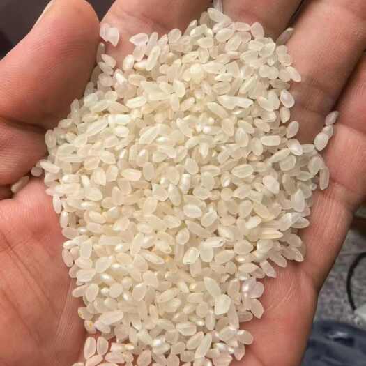 齐齐哈尔低端东北珍珠米