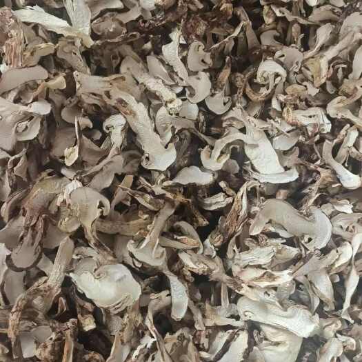 香格里拉松茸干片