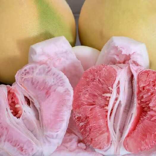 平和县1. 【产地直发】红心蜜柚/沙田柚——果肉饱满多汁，甜到心坎