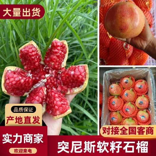 会理市突尼斯软籽石榴，四川会理全境对接全国商超电商