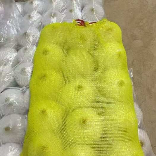 东兴市泰国香水椰青直供