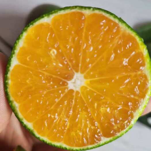 犍为县川蜜橘