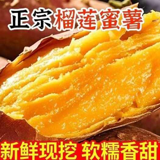红瑶榴莲蜜薯现挖现发今年新货