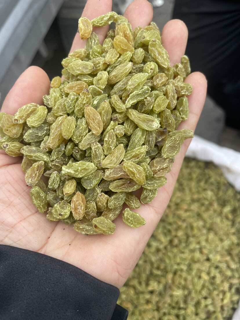 新疆新货小颗粒绿宝石小珍珠葡萄干食品和点心用的量大从优