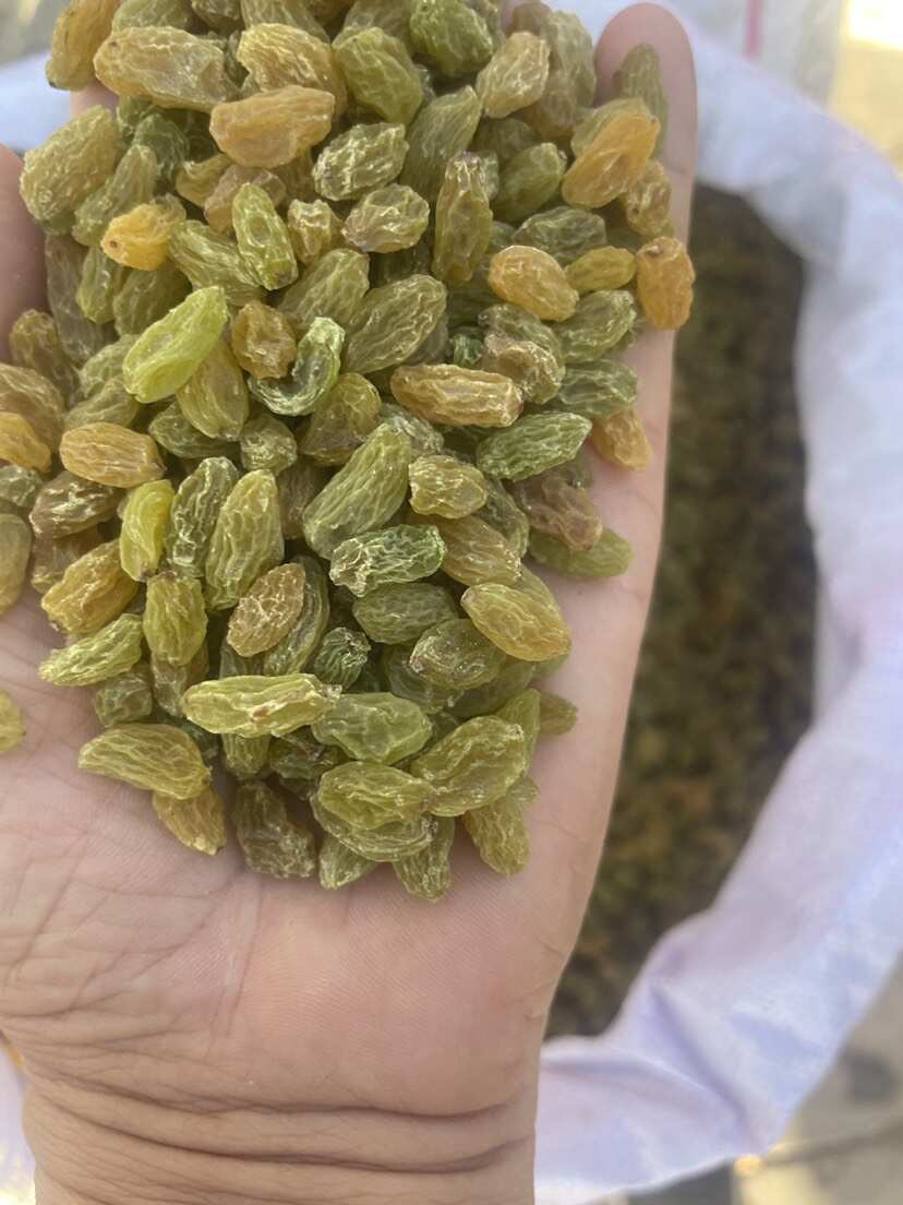 新疆新货小颗粒绿宝石小珍珠葡萄干食品和点心用的量大从优