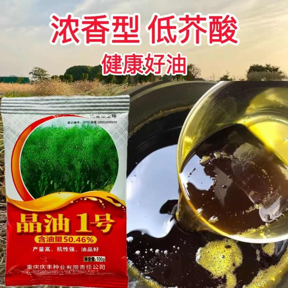 晶油1号油菜种子 半冬性两系杂交油菜籽种子 全生育期221天