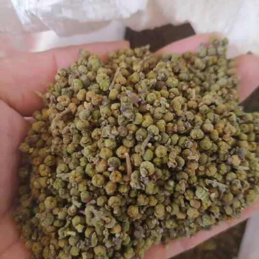 樟树市樟树吴茱萸中药材果实籽仁类江西宜春产地直供