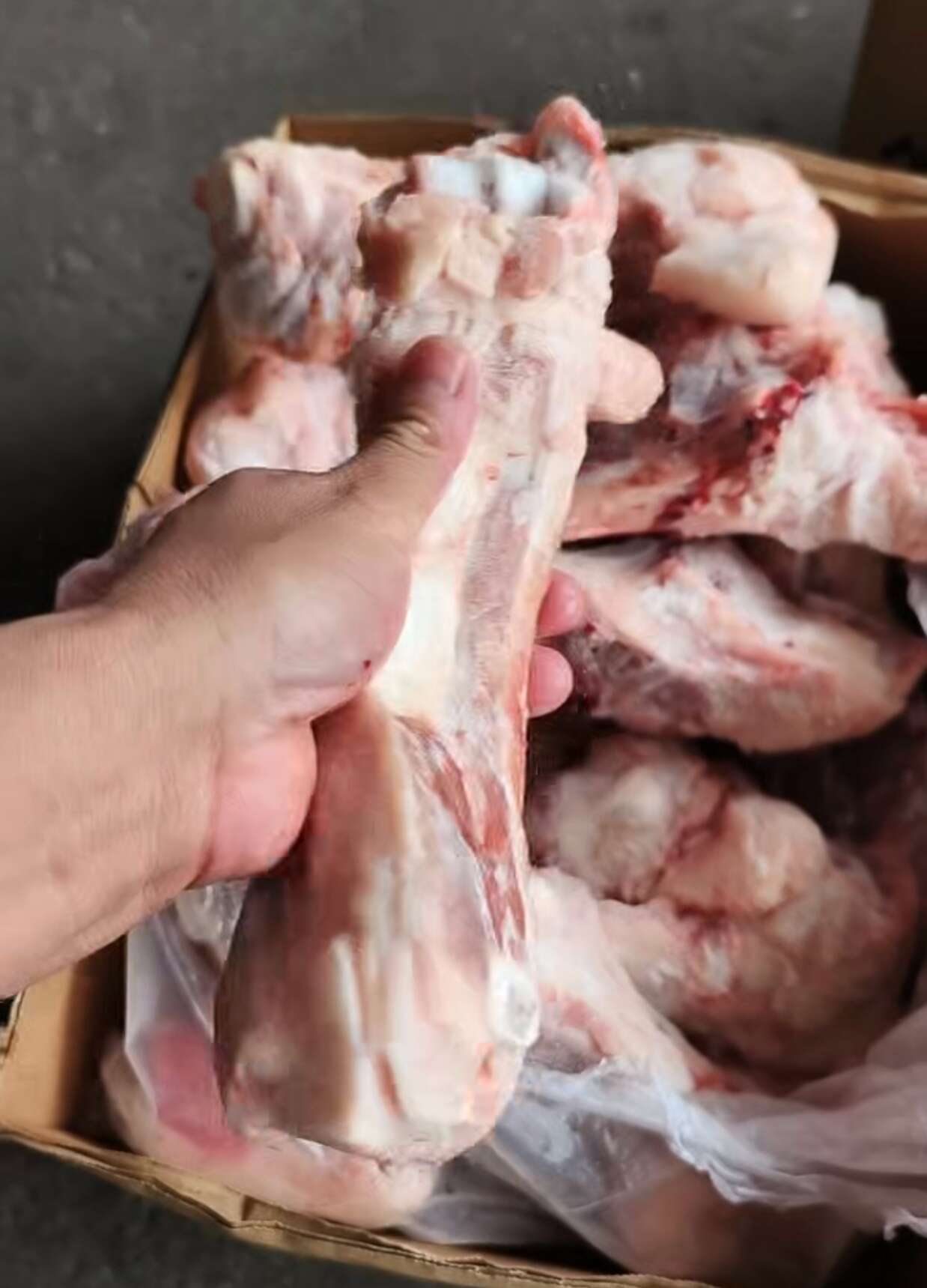 3548后肘骨5.5一斤，量大优惠