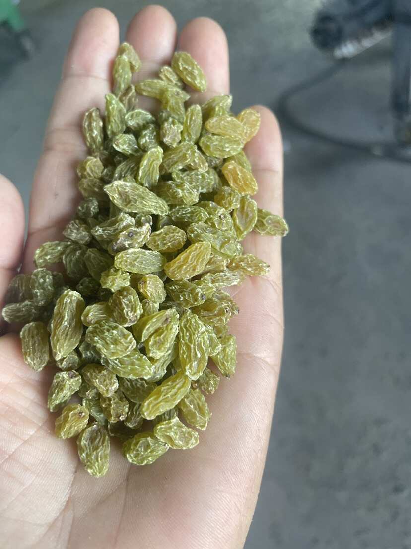 新疆新货小颗粒绿宝石小珍珠葡萄干食品和点心用的量大从优