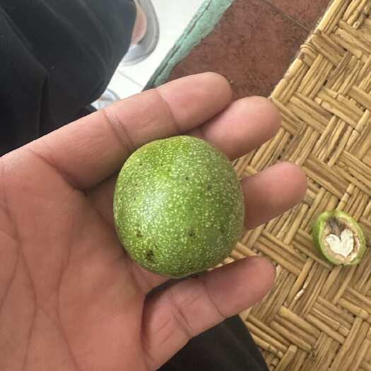 清水县青皮核桃