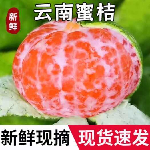 华宁县2025年云南高山蜜桔以上市，价格好，口感好，欢迎全国客商咨