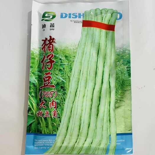 横州市猪仔豆大肉甜豆角种子油白厚肉不易老化好吃味甜豆角黑籽大田种孑