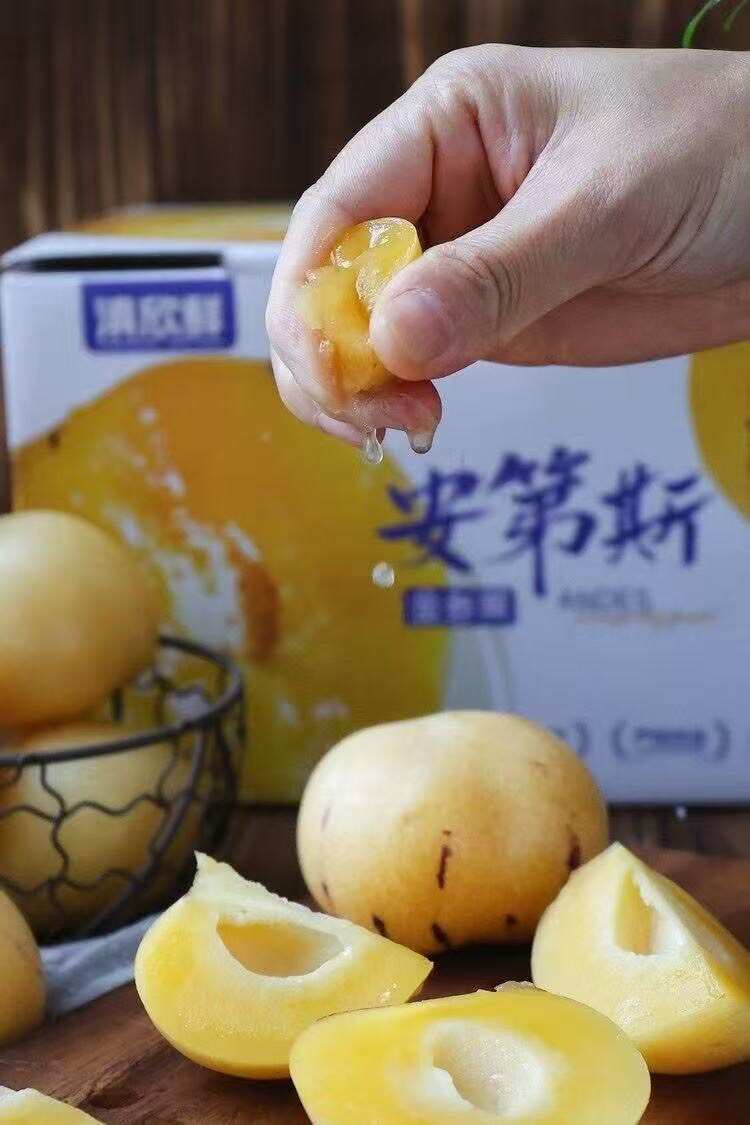 2025云南石林人生果以上市，对接全国资源，客商前来合作