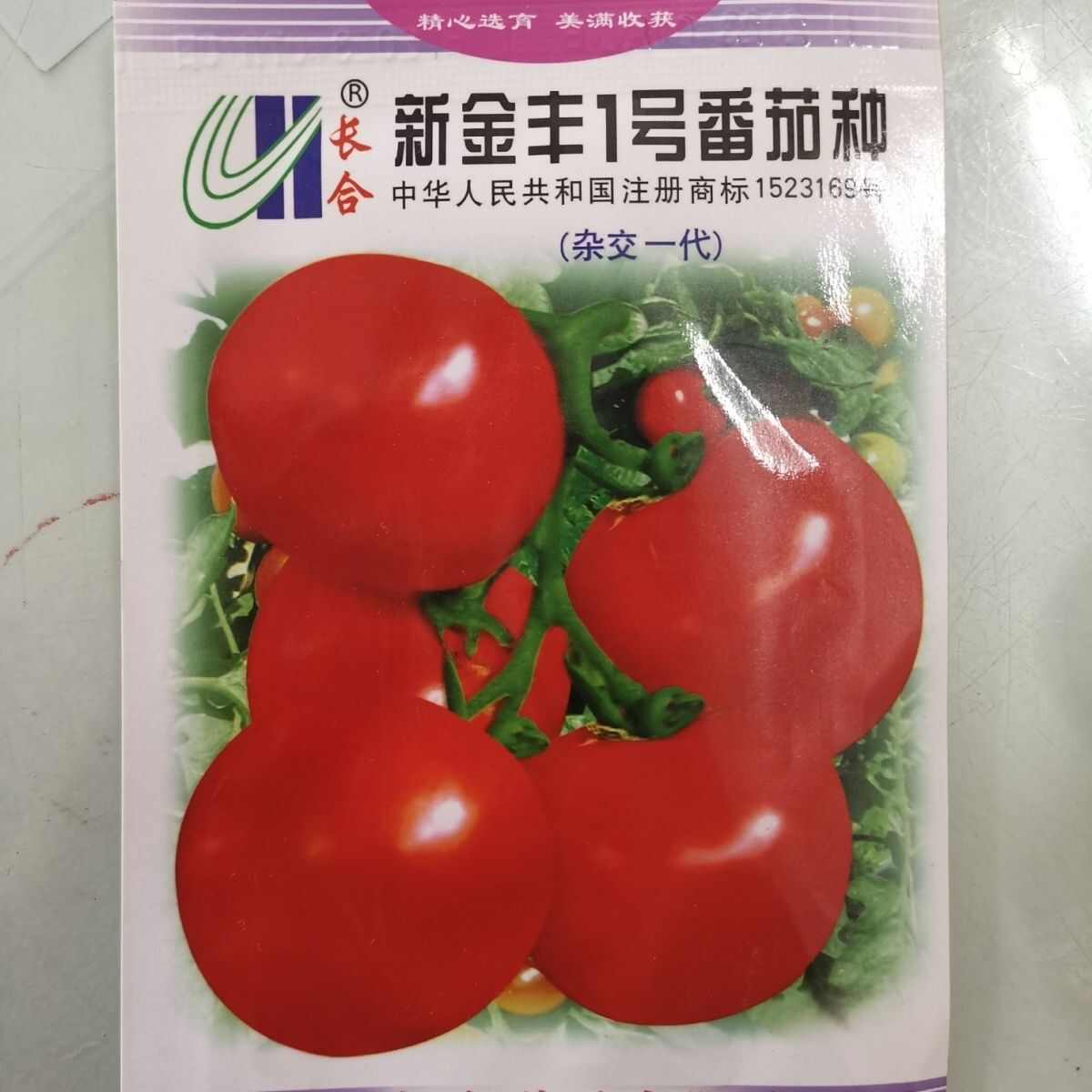 新金丰一号番茄种子长合番茄种子丰产抗病无裂果果肉厚甜