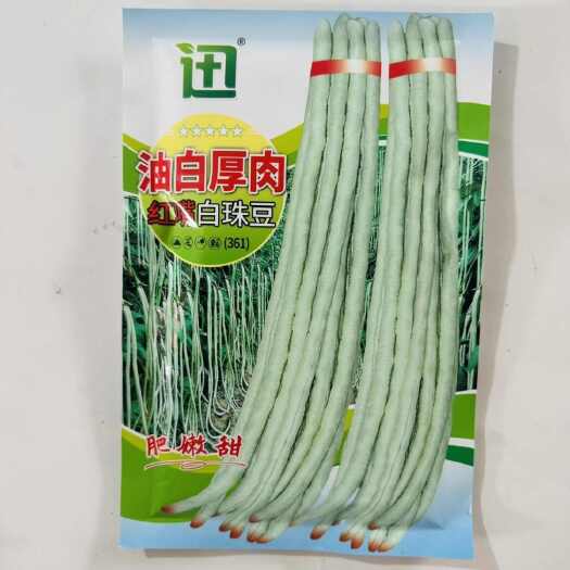 横州市油白厚肉红嘴白珠豆甜豆角种子珠仔豆原装200克