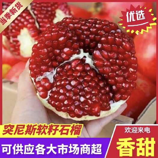 突尼斯软籽石榴,河南荥阳石榴基地直发,对接全国商超电商老板