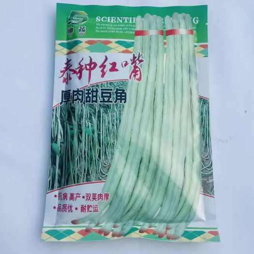 横州市泰种红嘴厚肉甜豆角种子早耐热耐雨水大肉珠仔豆耐老化抗病