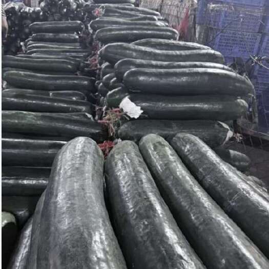 沈丘县黑皮冬瓜