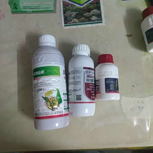 蔬菜再生稻水稻上白飞虱白粉虱的专用药
