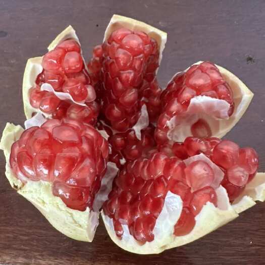 蒙自市云南红河蒙自新安所老树甜石榴