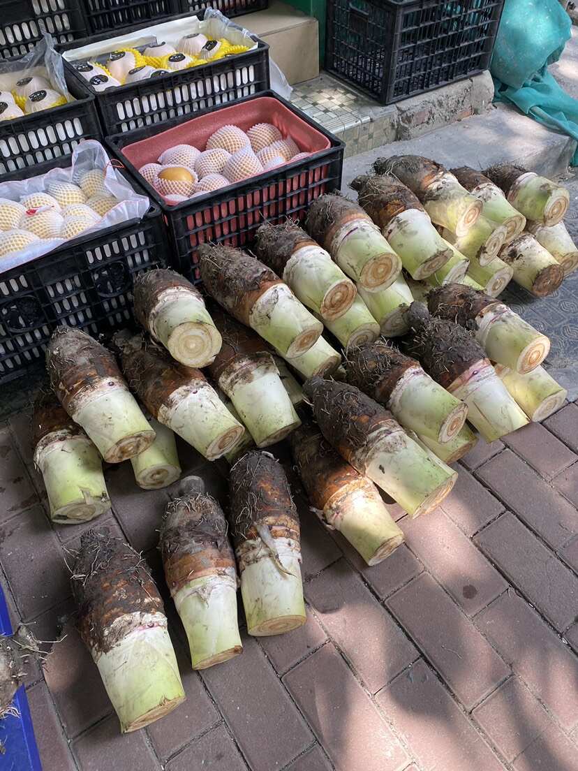 炮弹香芋上市、中秋国庆热用品