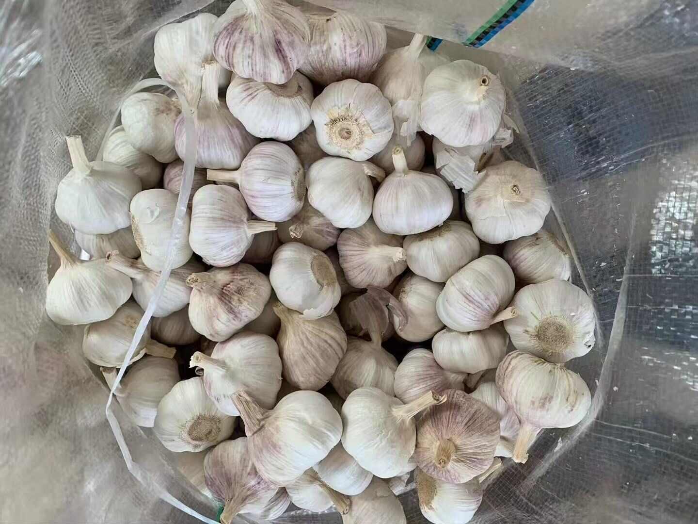 金乡大蒜，电商专业供应，支持各种规格各种包装！
