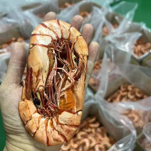 北海北部湾深海九节虾干