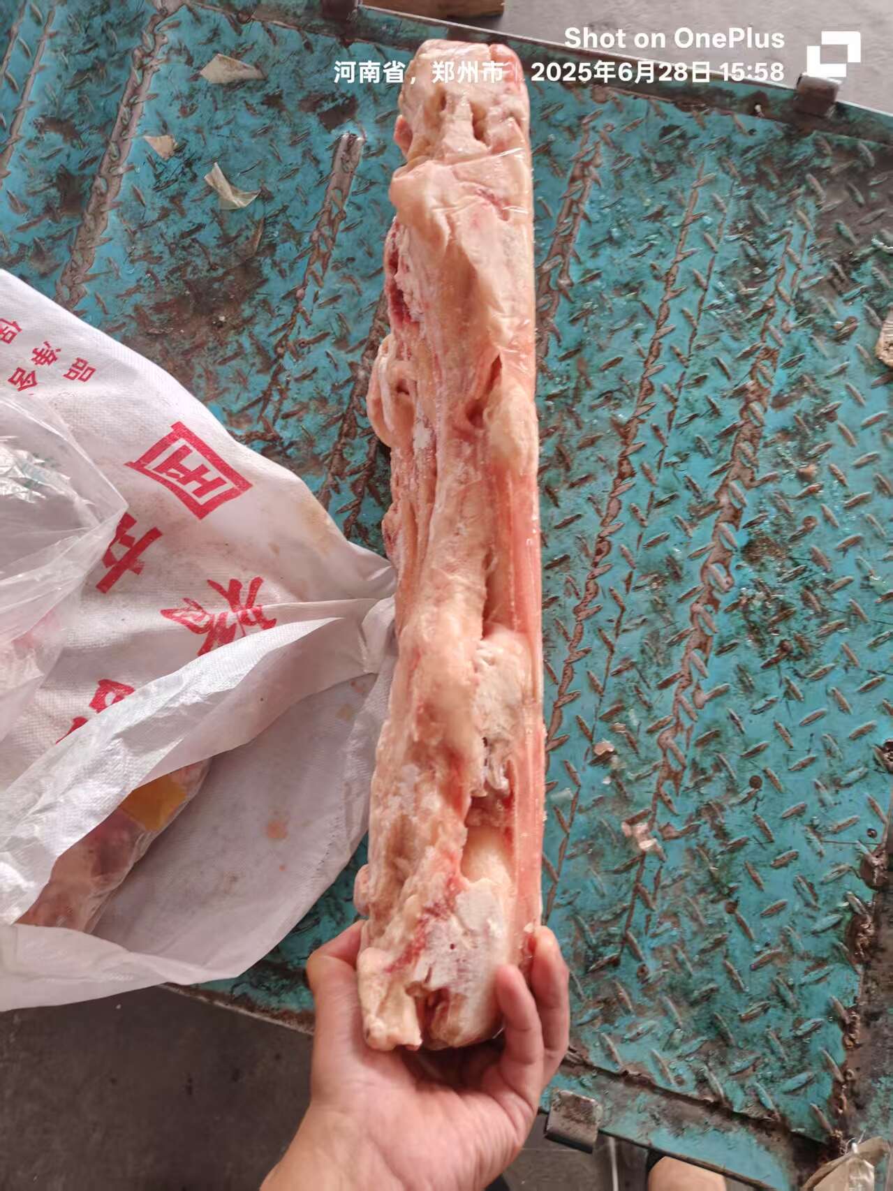 牛蹄筋精致牛蹄筋，纯干无油无毛，工厂直销，一手货源全国冷藏