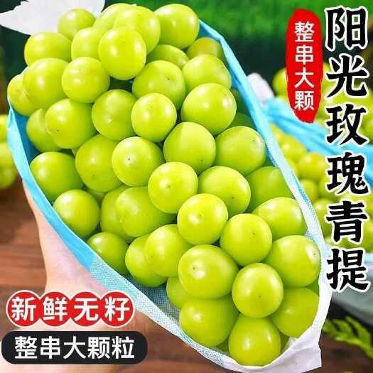 海口四川大凉山阳光玫瑰葡萄树上熟无籽新鲜应季水果【彩箱发货】
