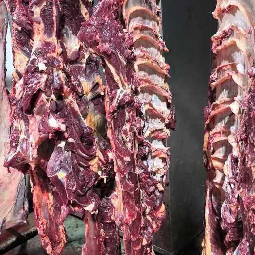 全牛四分体各种部位肉