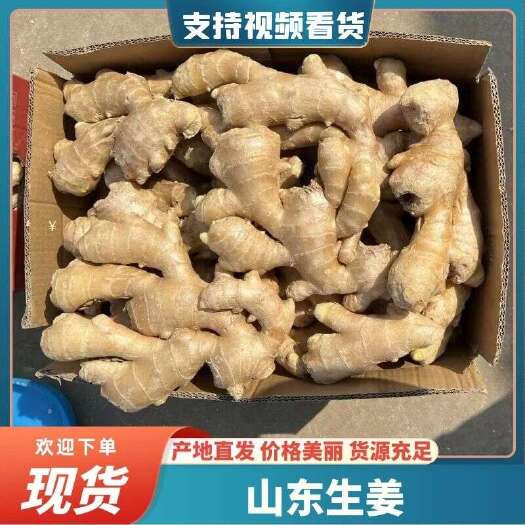 沂水县【山东生姜】产地大量上市，颜色辣黄品质保障常年供应
