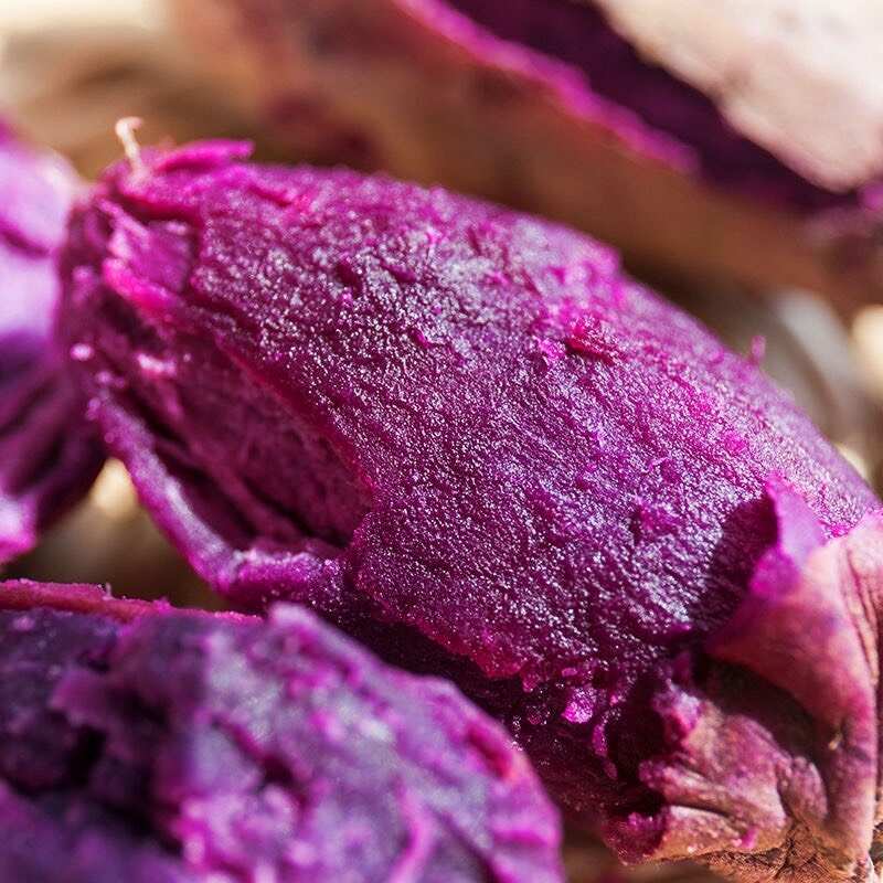 紫薯红薯、紫薯、红薯