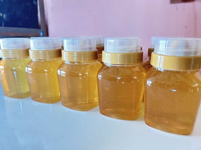 百花蜂蜜，产自辽北卧龙湖湿地保护区