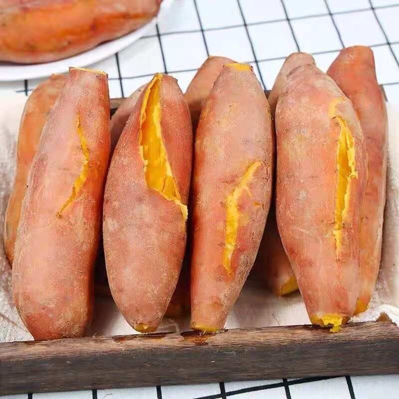 龙九红薯、龙九