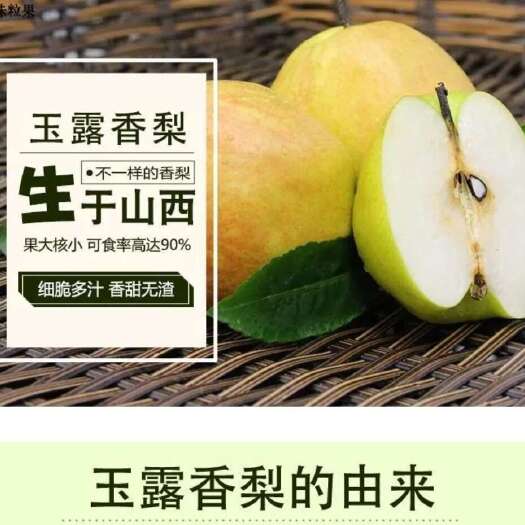 隰县地理标志 让世界更了解山西—隰县玉露香梨