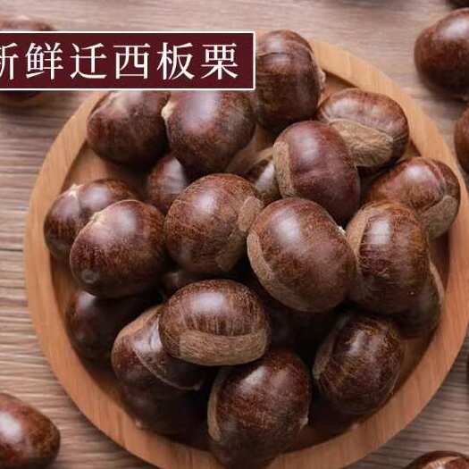 遵化市2025年新货3113迁西板栗新鲜生板栗油栗产地现摘