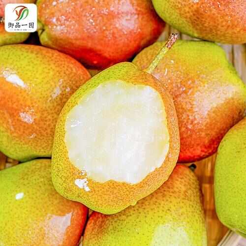 【御品一园】红香酥梨梨子新鲜水果当应季整箱香梨包邮应季