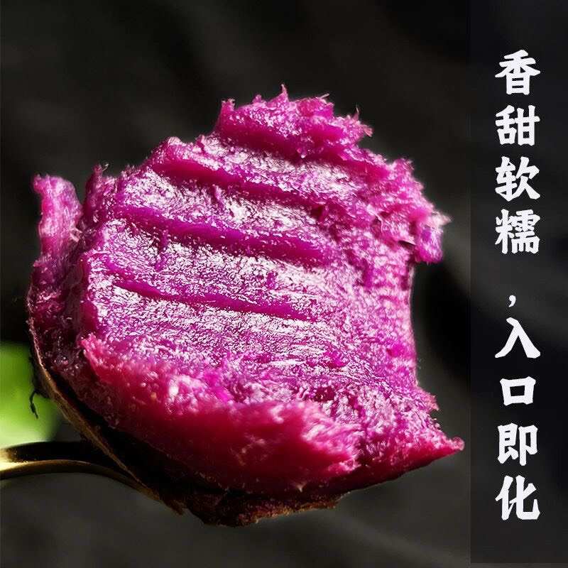 夏津县紫薯红薯、紫薯、红薯