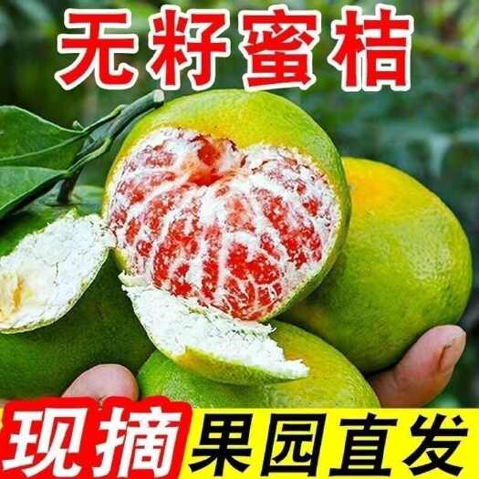 江永县特早蜜橘 湖南蜜橘 大芬四号，大芬一号，云南1号，特早蜜桔