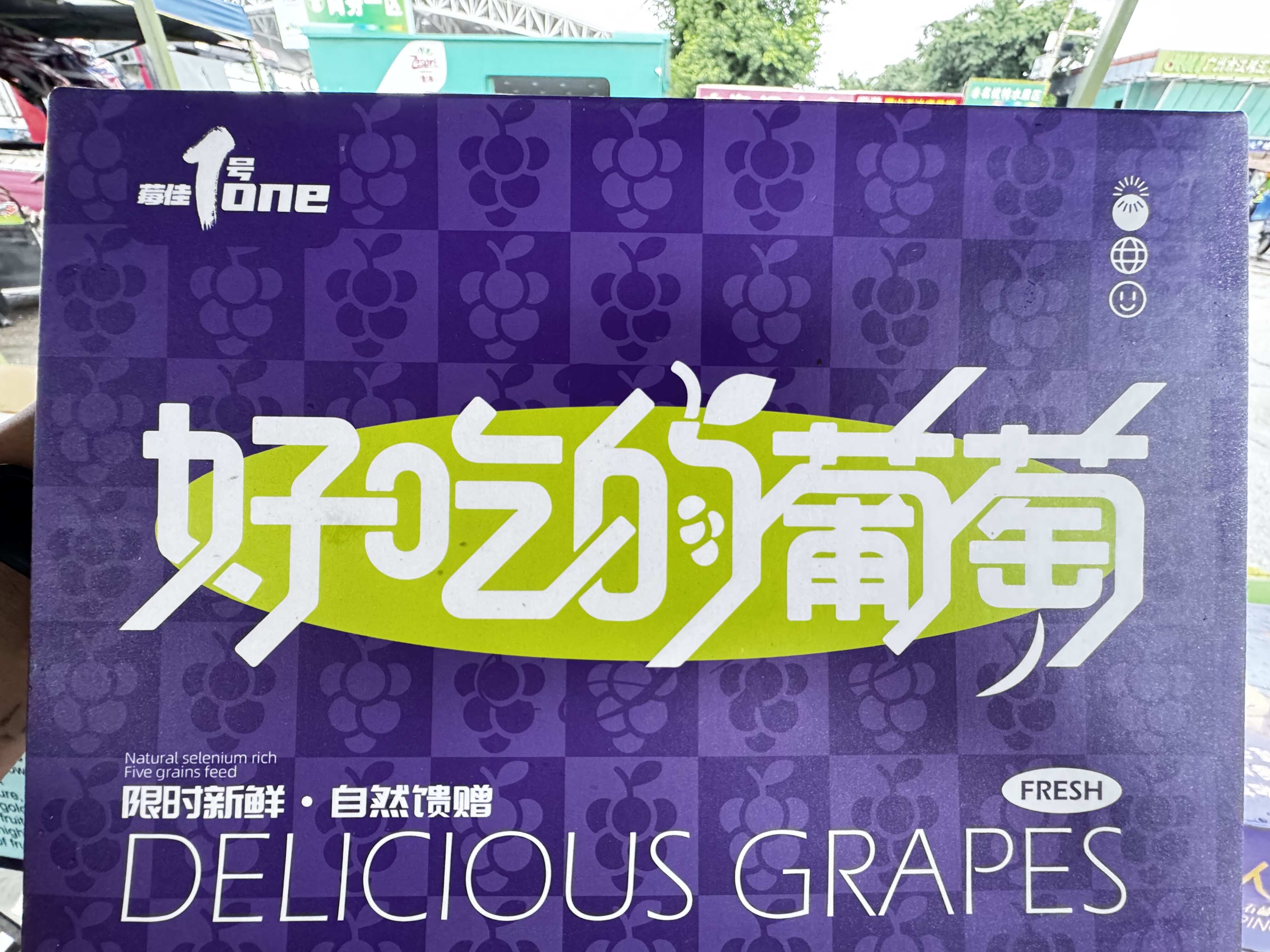 莓佳一号 好吃的葡萄巨峰葡萄选福安每颗都饱满拿品质说话