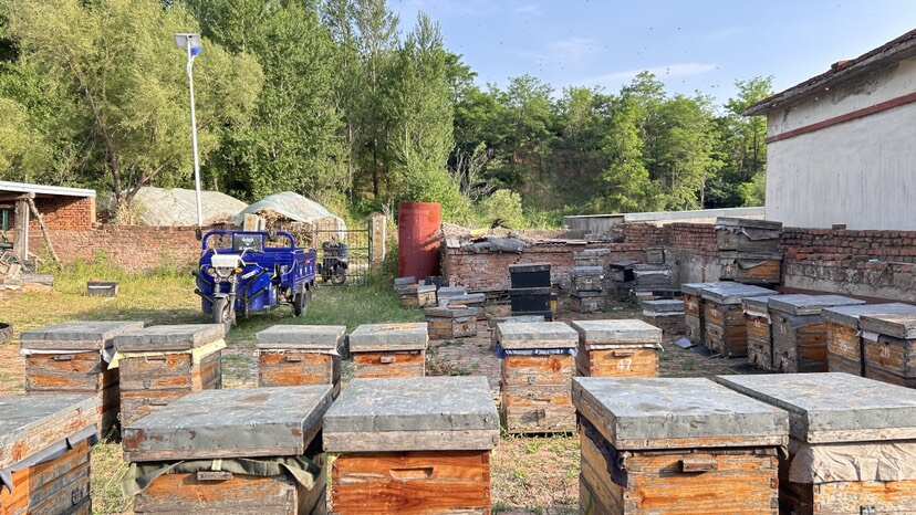 百花蜂蜜，产自辽北卧龙湖湿地保护区